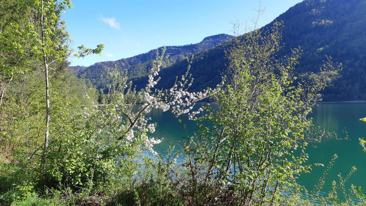 Jaegerhaus Villa Hintersee Ngoại thất bức ảnh